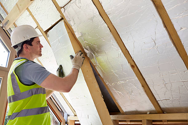 Best Insulation Installation Services in Petal, MS